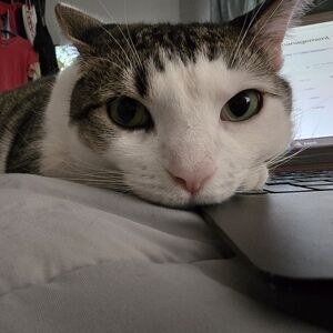 Meet your Posher, Tiffanie